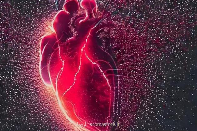 تشخیص بروز سکته قلبی از نمونه خون تا ۱۰ روز پس از ایجاد صدمه