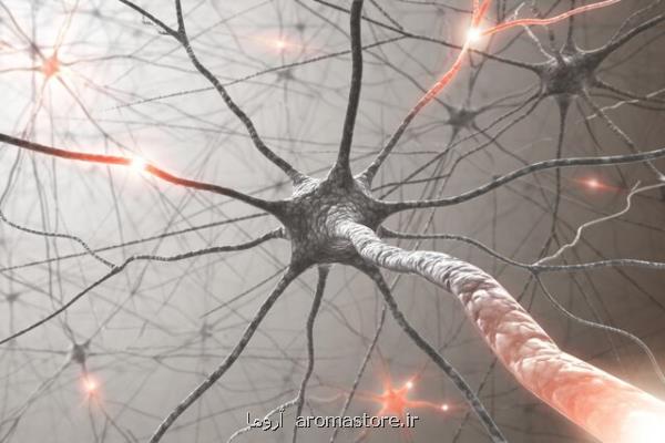ارتباط بیماری نورون حركتی با كلسترول