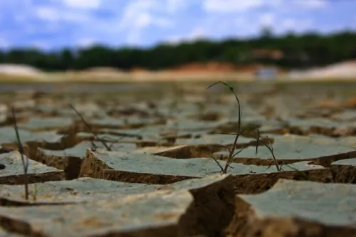 ما گرفتار خشکسالی عقل و خرد هستیم