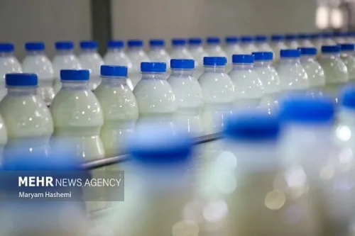 رقابت تخم مرغ ولبنیات برای صدرنشین شدن در گرانی به همراه جدول نرخ کالاهای اساسی