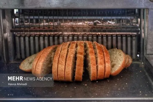 نان سالم زیر ذره بین سلامت پویش ملی تغذیه سالم برای کاهش بیماریها