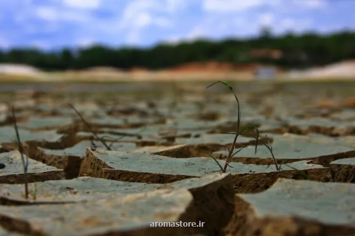 ما گرفتار خشکسالی عقل و خرد هستیم