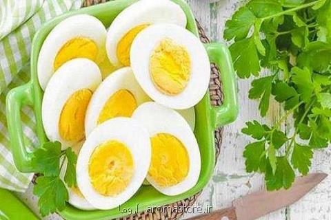 تخم مرغ باعث بهبود روند رشد مغز نوزاد می گردد