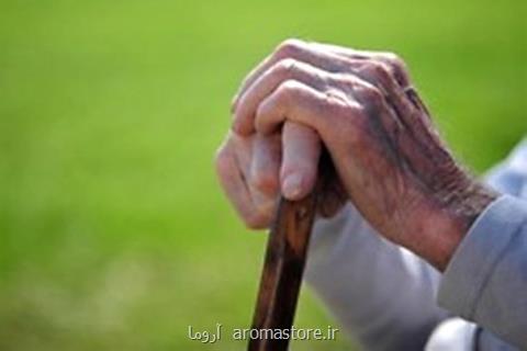 ایران در آستانه بحران سالمندی، ۱۰ اخطار و عامل خطر در بروز آلزایمر