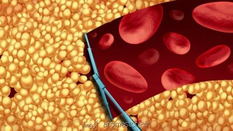 توسعه داروی بدون عوارض برای كاهش كلسترول خون