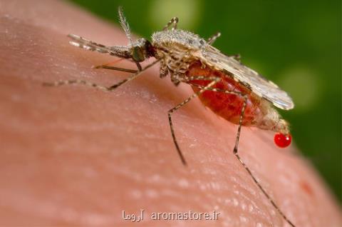 مالاریا در ایران