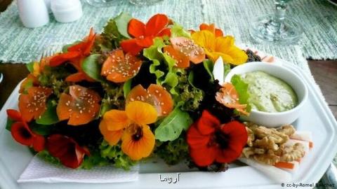 خاصیت گل های خوراكی را بشناسید