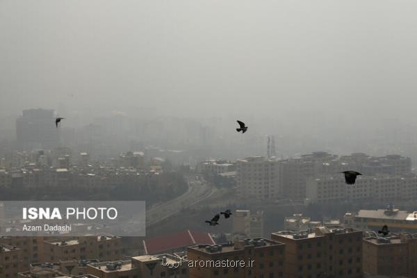 آلودگی هوا ششمین عامل مرگ و میر در دنیاست