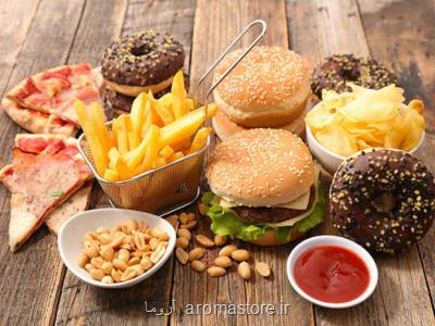 غذاهای چرب سبب اختلال در ارتباط روده با سایر بدن می شود
