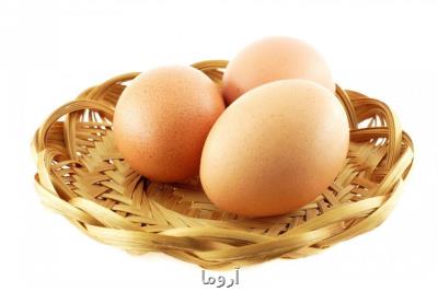 مصرف روزانه تخم مرغ برای سلامت قلب مفیدست